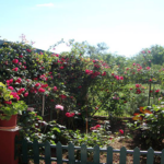Tasia Studios
