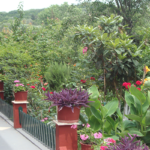 Tasia Studios
