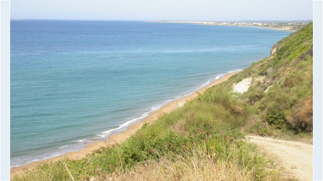 Tasia Studios Santa Barbara Beach