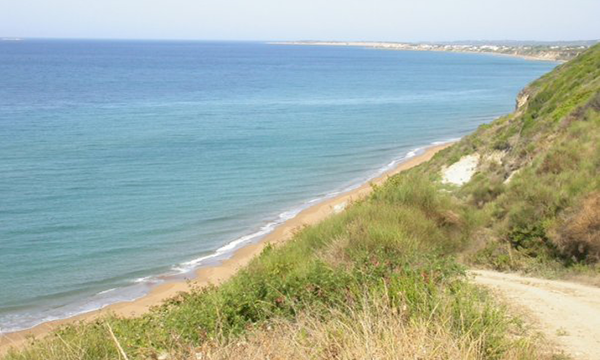 Tasia Studios Santa Barbara Beach