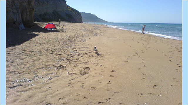 Tasia Studios Santa Barbara Beach
