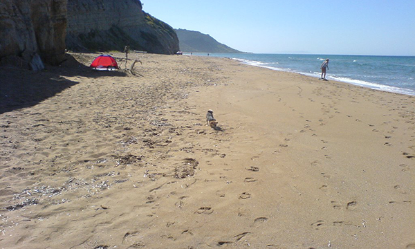 Tasia Studios Santa Barbara Beach